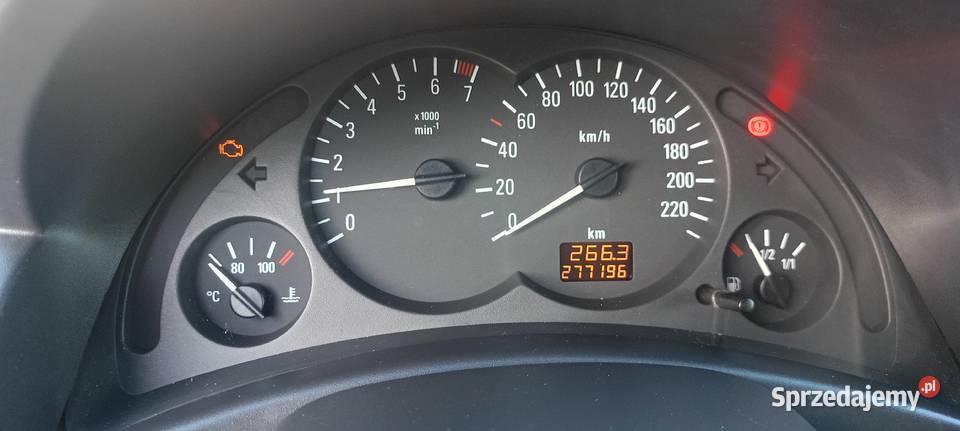 Corsa c 10 b g Grodzisko sprzedam