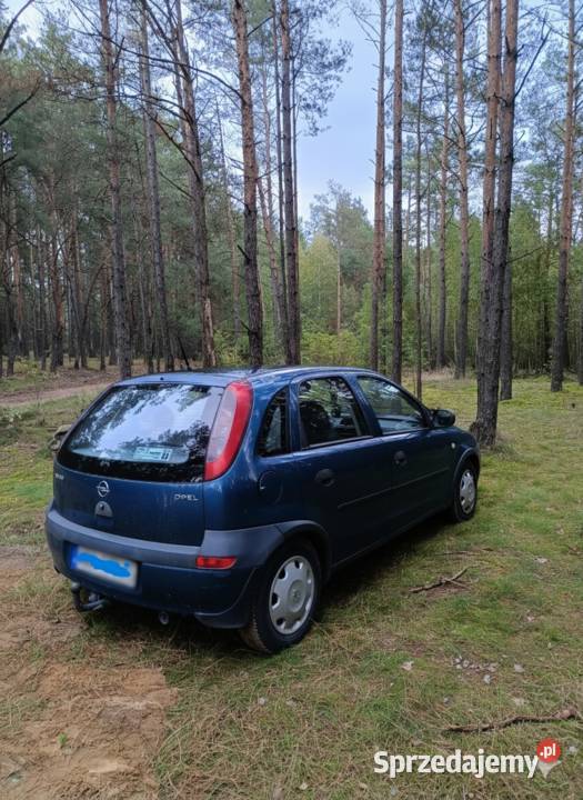 Opel Corsa C 2001r codziennie użytkowany kobietę Przasnysz