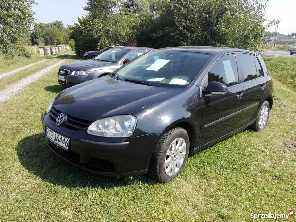 Volkswagen Golf 5 19 TDI 105 5 drzwi Nienadówka