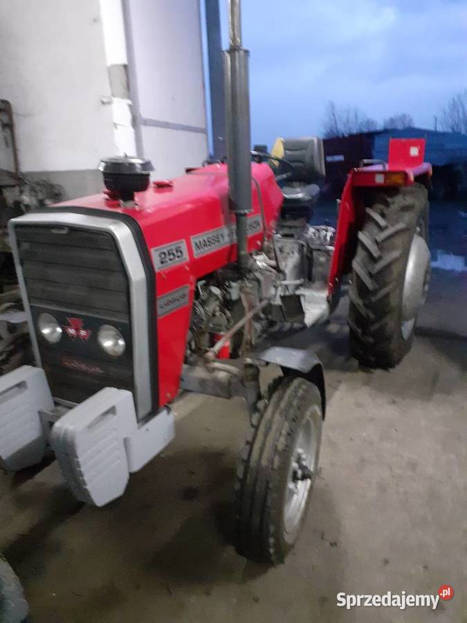 Ciągnik rolniczy Massey Ferguson 255 sprzedam Wyrza sprzedam