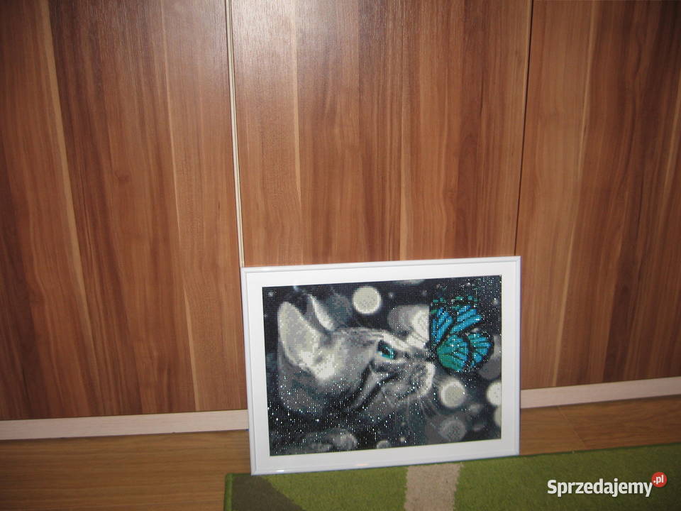 Obraz KOT wykonany techniką haftu diamentowego warmińsko-mazurskie Olsztyn