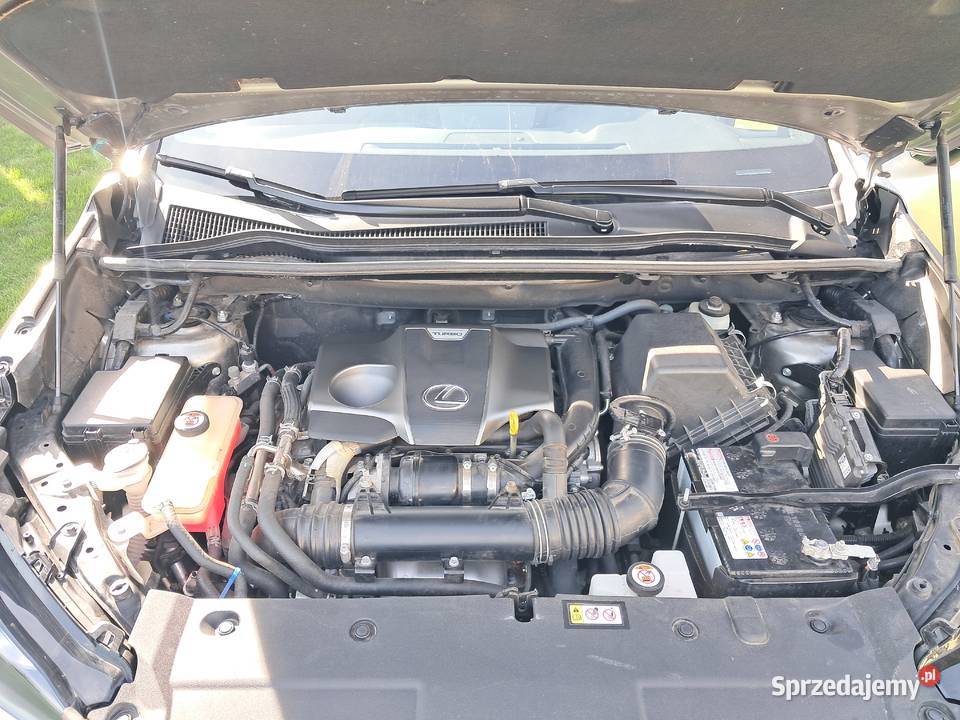 Lexus Nx 300 Fsport 2019 mazowieckie Serock