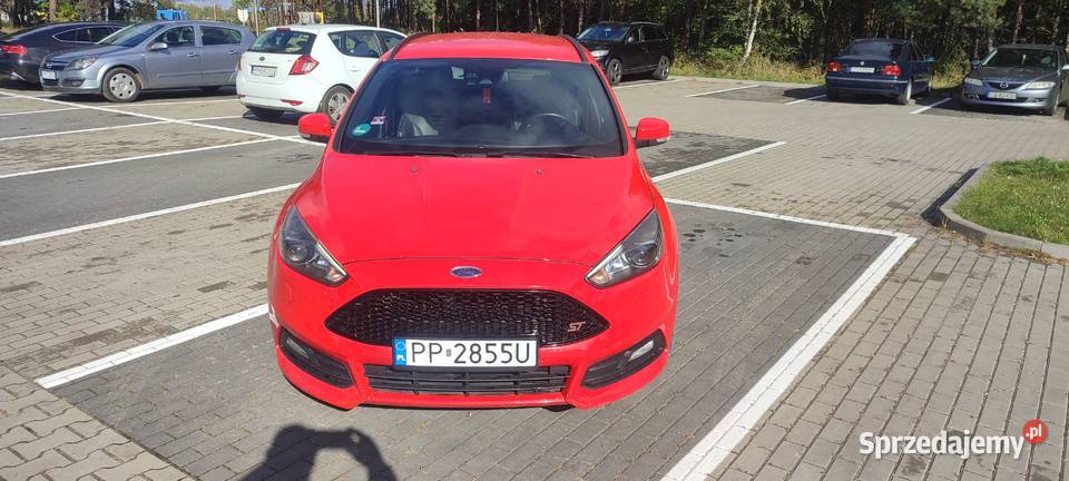 Ford Focus ST śliczny Focus Piła