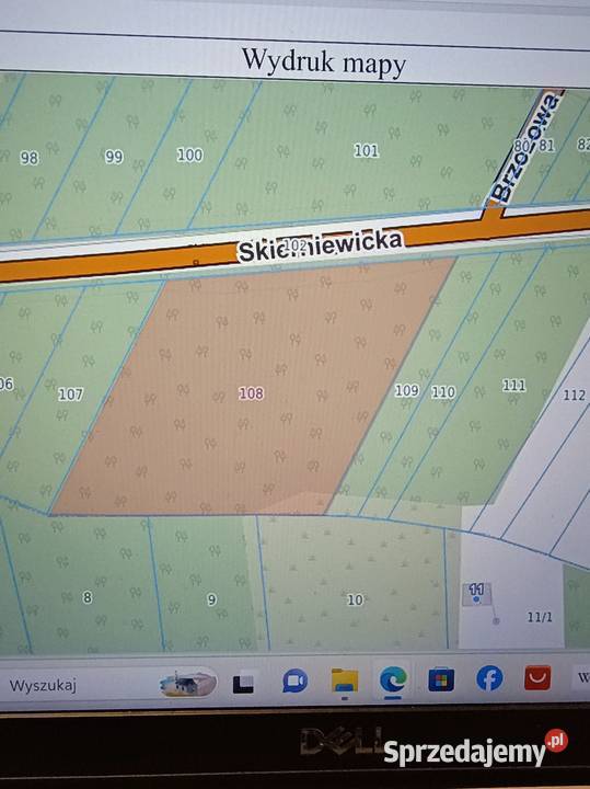 Działka leśna 078h Sprzedaż Długowizna