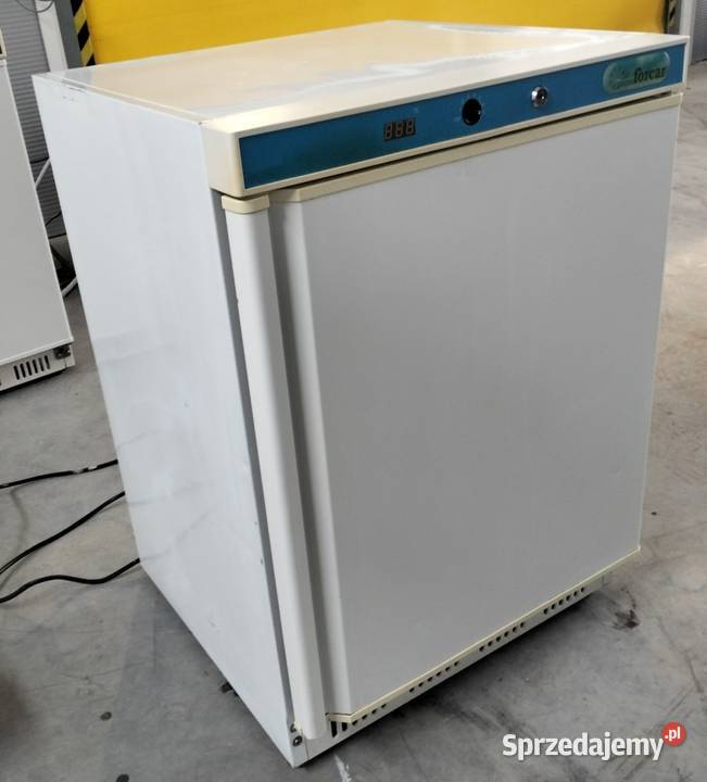 Szafa mroźnicza gastronomiczna Forcar Słupia Kapitulna sprzedam