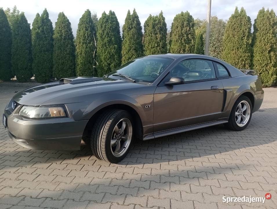 Ford Mustang GT 46 v8 Super stan grafitowy kujawsko-pomorskie