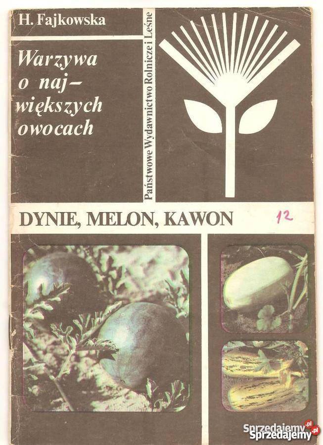 DYNIE MELON KAWON H FAJKOWSKA Warszawa