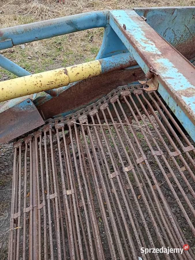 Kopaczka nieuszkodzony podlaskie Augustów