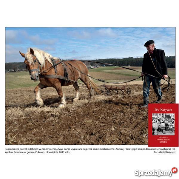 Fot Kosycarz Niezwykłe zwykłe zdjęcia Kaszub Poradniki, albumy i reportaże Wejherowo
