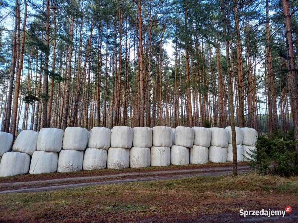 Baloty 120x120 Pozostałe Zielona Chocina