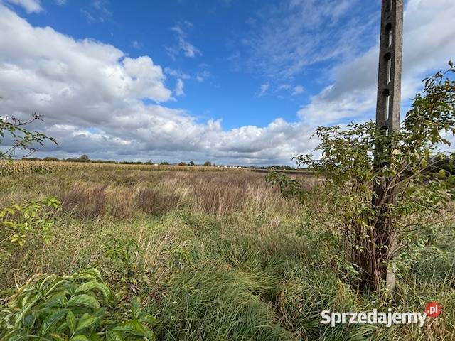 Syndyk sprzeda niezabudowaną działkę I przetarg 1173m2 Gorzów Wielkopolski sprzedam