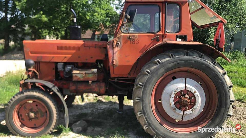 MTZ 80 z Niemiec sprawny Lwówek Śląski sprzedam