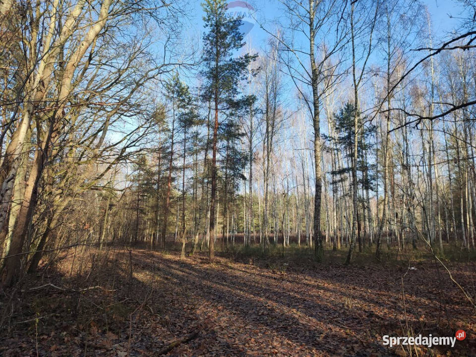PISKÓRKA urokliwa działka w otoczeniu natury rolna Piskórka sprzedam
