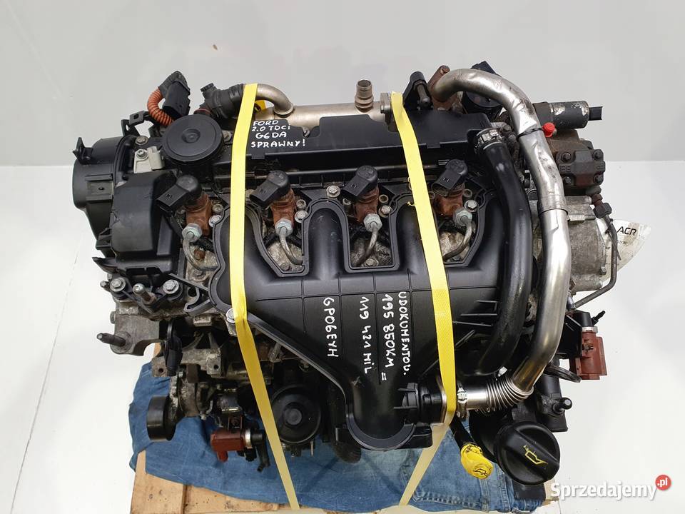 SILNIK G6DA Ford C C 20 TDCI 136 G6DB G6DD G6DG lubelskie Rudka