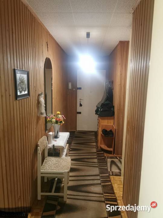 3pok 64met Drzewieckiego BALKONPIWNICAWINDA piwnica Wrocław