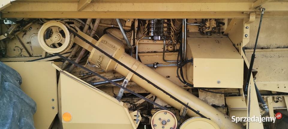 Holland TX 65 Krasnystaw