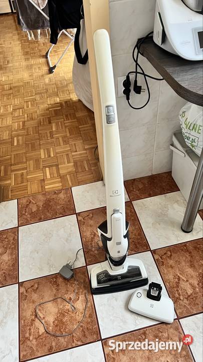 Odkurzacz Electrolux ErgoRapido