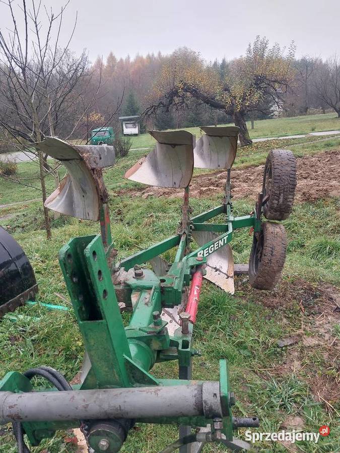 Pług regent nieuszkodzony sprzedam