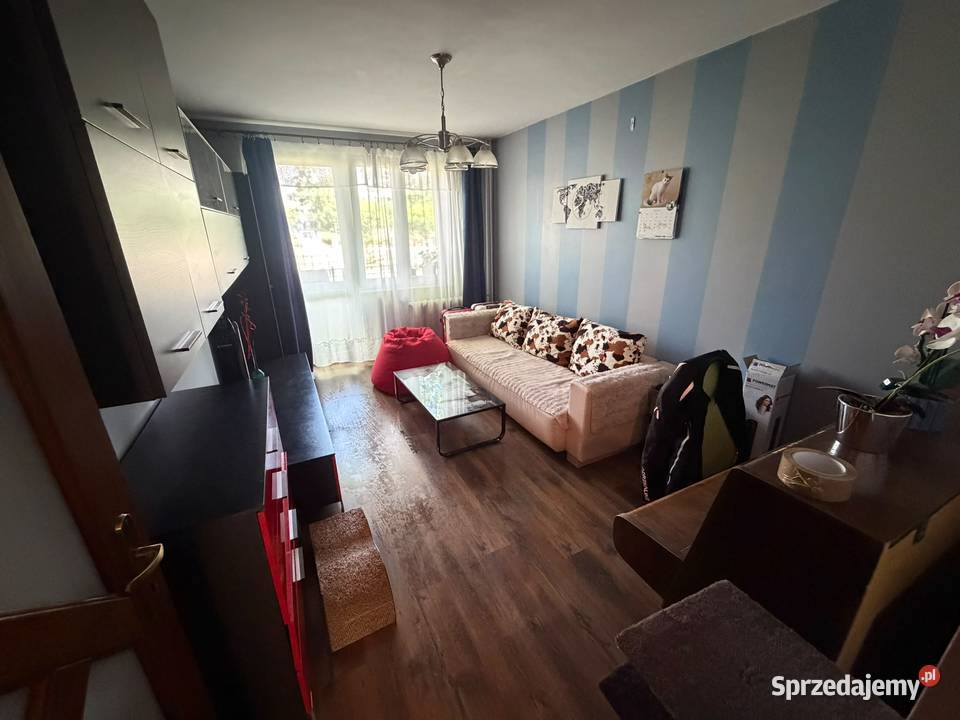 Mieszkanie do wynajęcia podkarpackie Stalowa Wola sprzedam