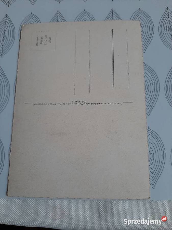 Piekne zdjęcie psa 1940 r Stronie Śląskie