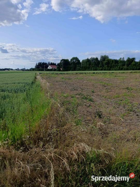 Działka rolna budowlana inwestycyjna Skowierzyn