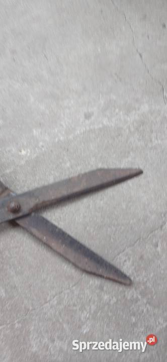 Nożyce ogrodnicze Krotoszyn