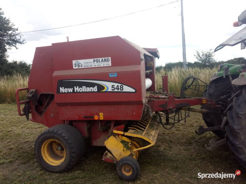 Sprzedam prase Holland Gostyń