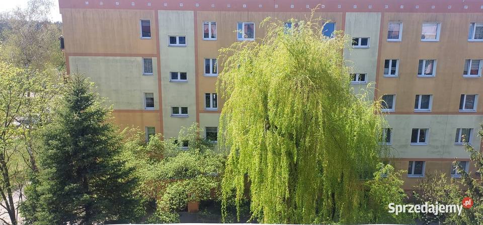 Mieszkani 3 pokoje 63 m2 Brzóski Żyrardów zieleń blok sprzedam