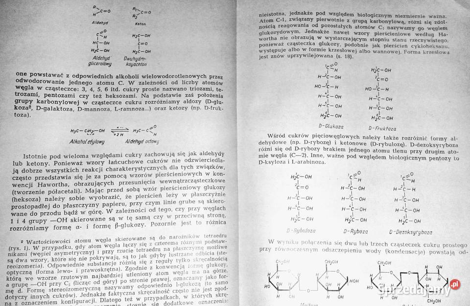Botanika ogólna Wilhelm Nultsch Chełm sprzedam