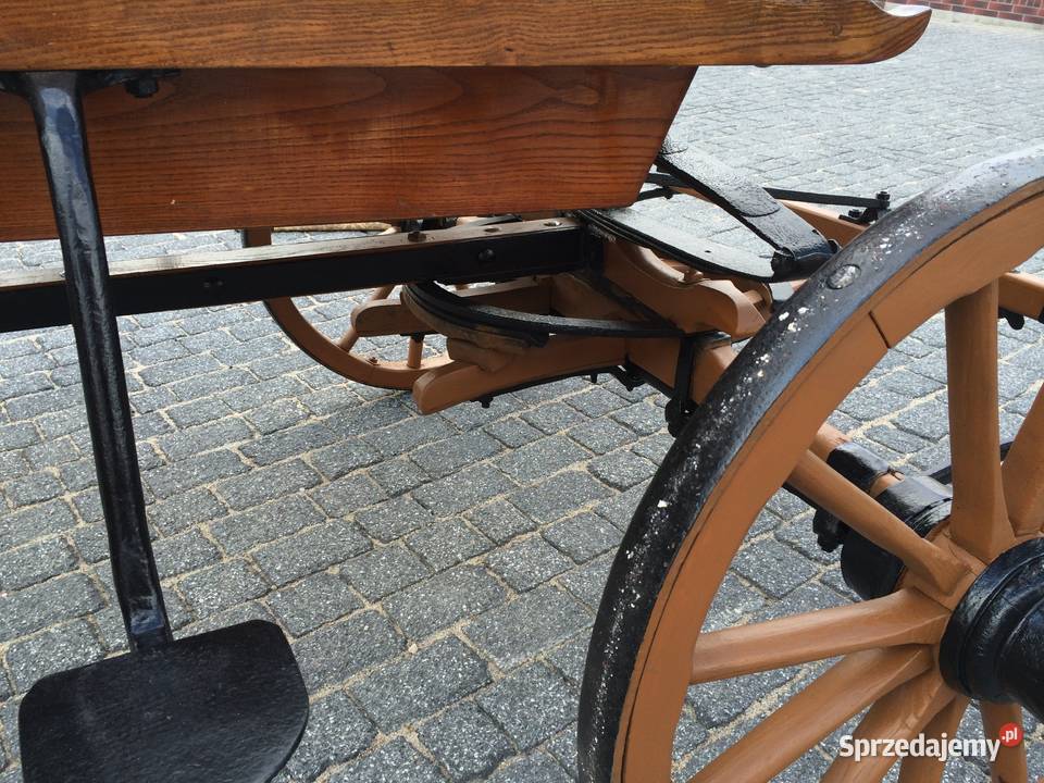 Bryczka kujawsko-pomorskie Strzelno