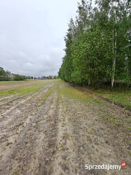 Sprzedam działki z WZ Kiedrzyn 1000m2 Radom sprzedam