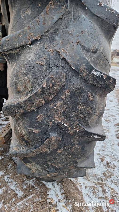 Opona MITAS 184 34 Grodziec