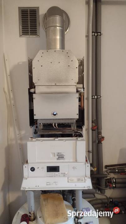 Viessmann vitopend 100 Trzebinia