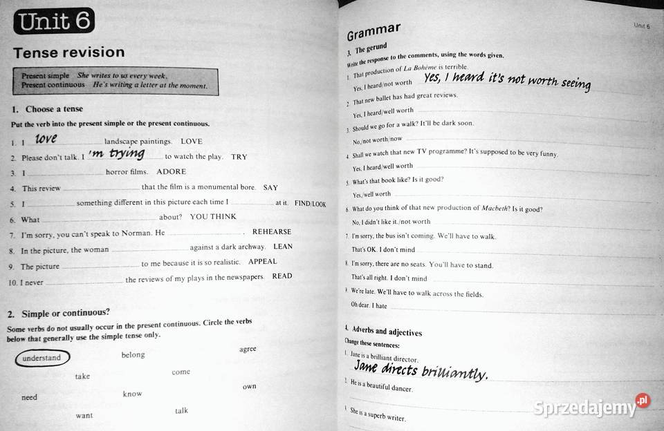 Studying Strategies Workbook Steve Elsworth Chełm sprzedam