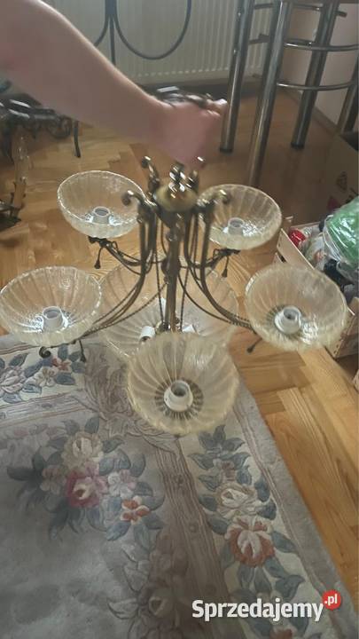 Lampa widząca Amplex sprzedam zamienię na