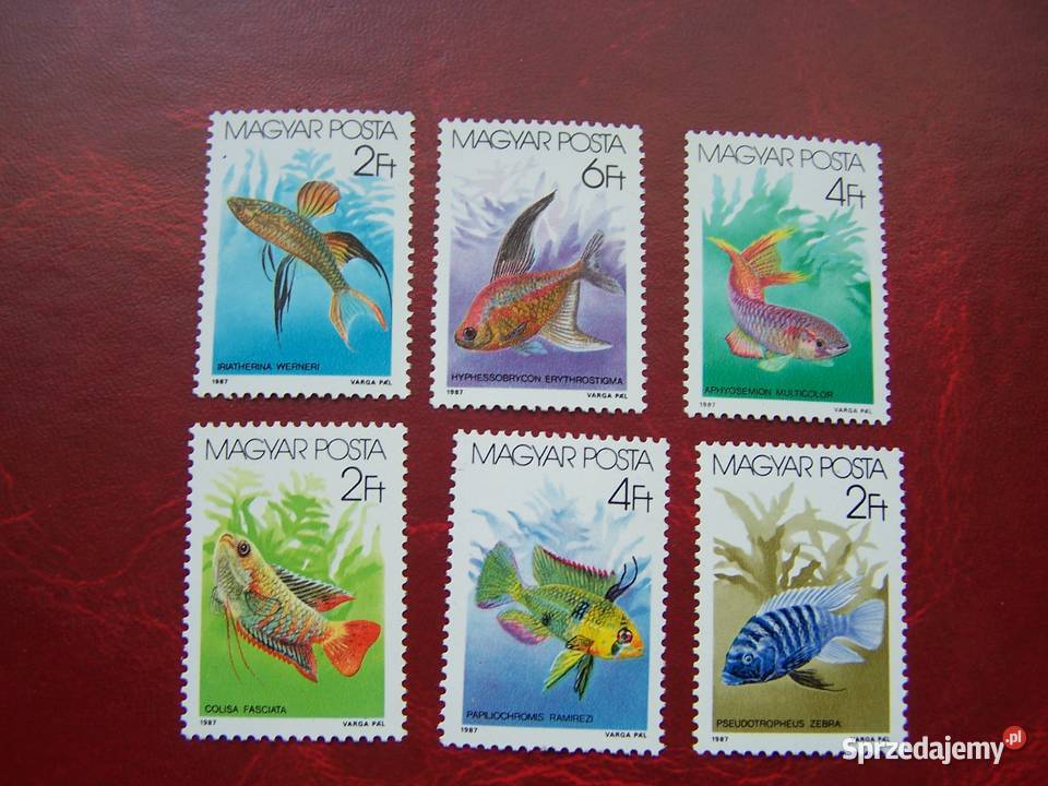 Węgry 1987 MNH Mi 387782 Fauna Ryby Tychy sprzedam