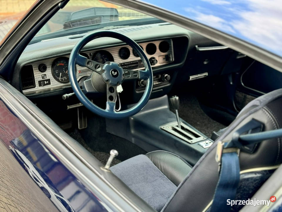 Pontiac Firebird Trans Am MIDNIGHT BLUE 1981 do Sulechów sprzedam