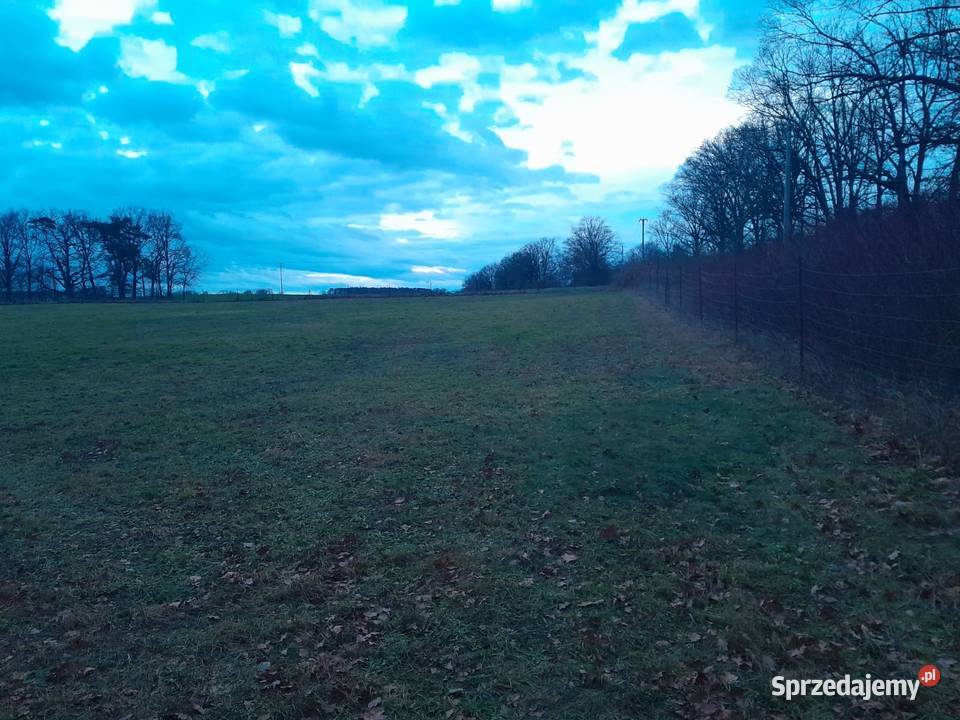 Sprzedam Działki CHYCINA nowe osiedle 12 działek 100zł/m2 lubuskie