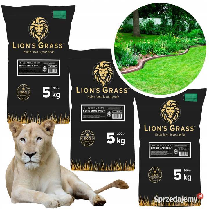 TRAWA dywan TRAWNIK ANGIELSKI nasiona Premium Cieśle sprzedam