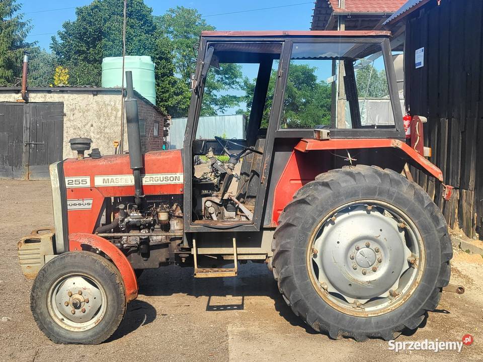 Massey Ferguson 255 Gronowo Elbląskie