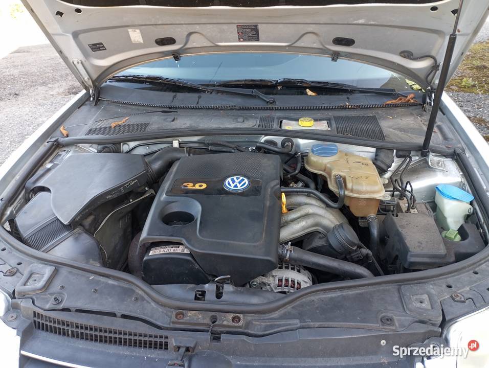 Motoryzacja Passat Nowogard