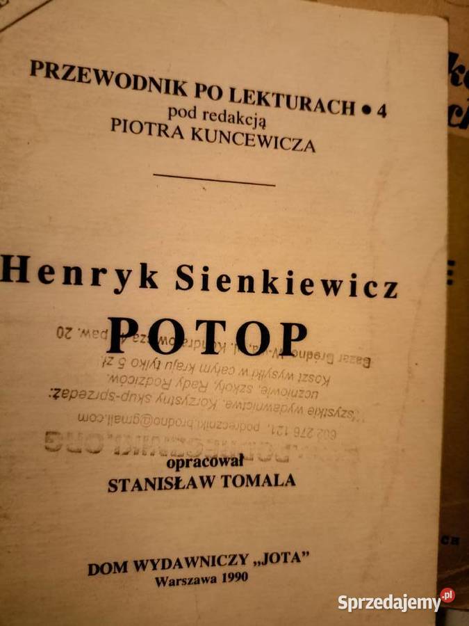 Potop biblioteka analiz literatury księgarnia Warszawa