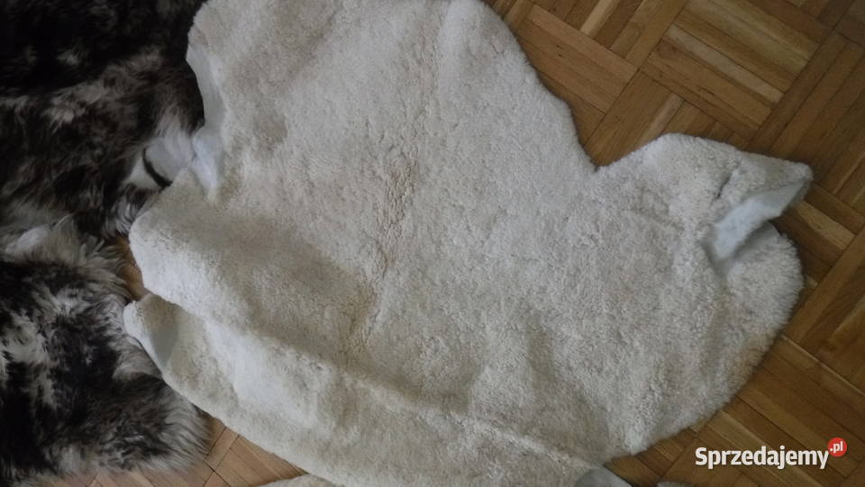 Skóra barania skóry z barana farbowane nowe Otwock