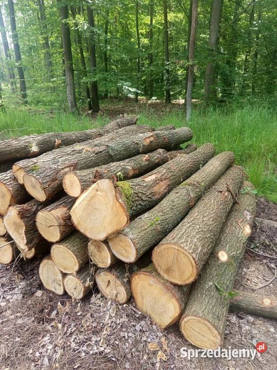 Drewno opałowe Staszów
