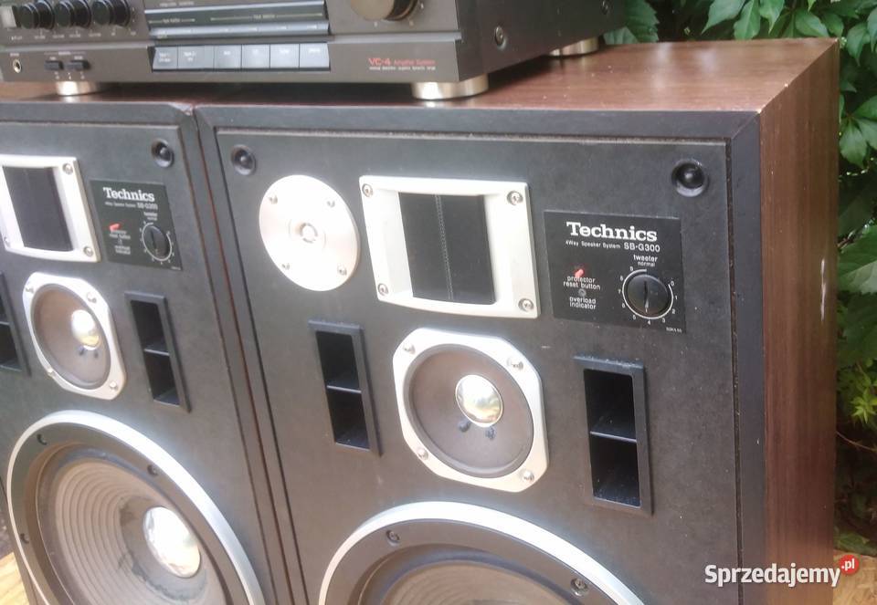 Kolumny Technics SBG300 Sochaczew