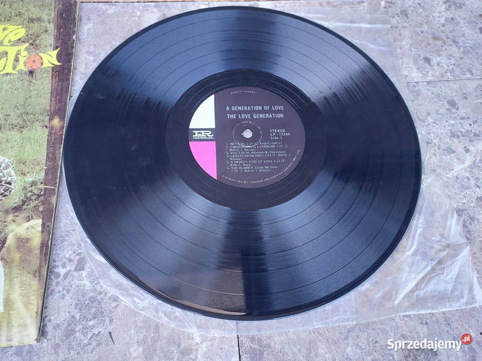 37 Płyta winylowa The Love Generation LP12364 Tczew sprzedam