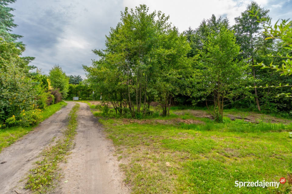 Obniżka ceny 45000 Działka w ciszy i zielonej Wolin