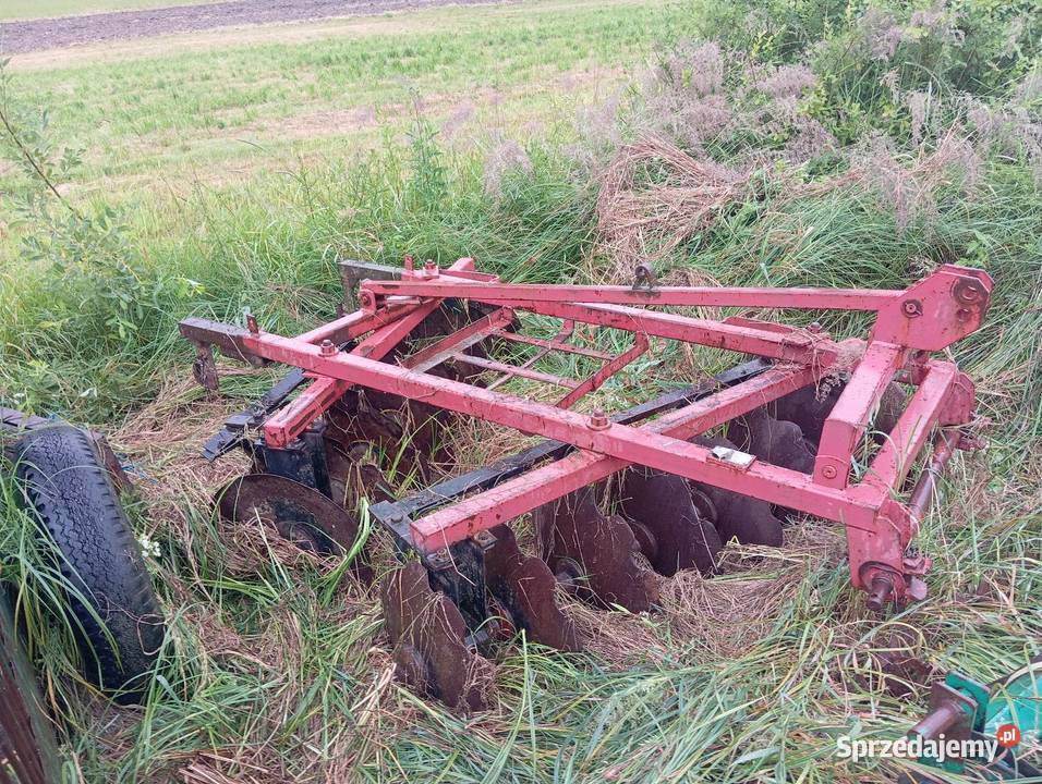 Talerzówka Pieńki sprzedam