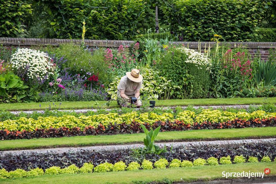 Pielęgnacja ogrodów wywóz gałęzi koszenie prace ogrodowe