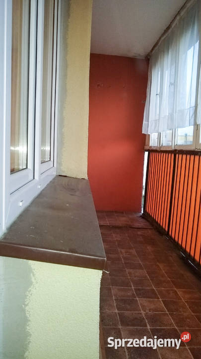 Mieszkanie 4812m2 w pobliżu Puszczy